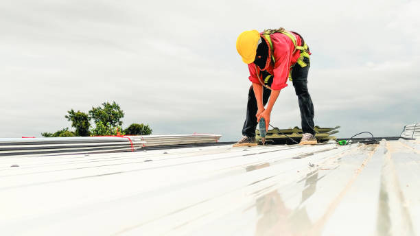 Best Solar Panel Roofing Installation  in Albany, WI