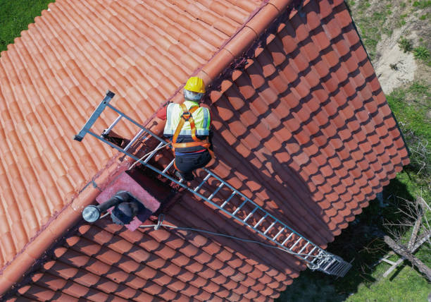 Best Roof Moss and Algae Removal  in Albany, WI