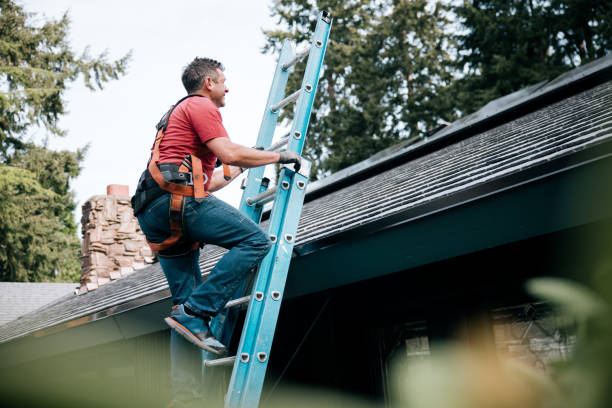 Best Roof Leak Repair  in Albany, WI