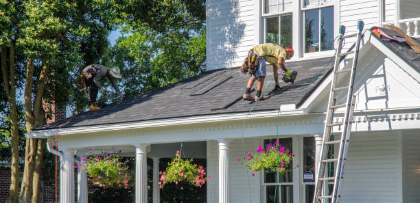 Best Roof Insulation Installation  in Albany, WI